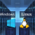 Differences Between Linux and Windows Servers