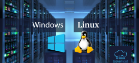 Differences Between Linux and Windows Servers